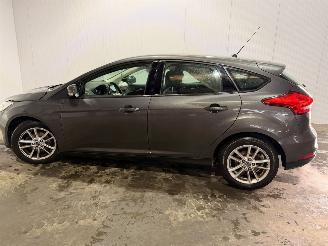 Ford Focus 1.0 Ti-VCT EcoBoost 12V 100 Hatchback  Benzine 998cc 74kW (101pk) FWD picture 2