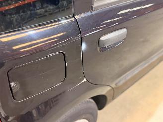 Fiat Panda 1.2 Edizione Cool picture 9