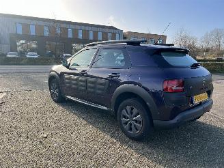 Citroën C4 cactus 1.6 BlueHDi Business picture 6