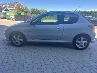 Peugeot 206 1.4-16V Quiksilver  112.818 KM!! picture 7