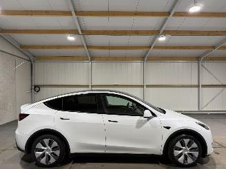 Schadeauto Tesla Model Y 75kWh Long Range AWD 258kW 2024/5