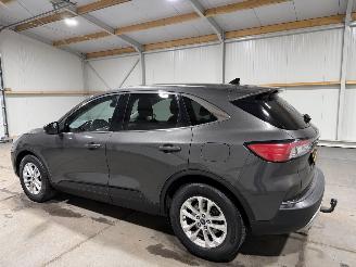 Ford Kuga 2.0D 110kW Hybrid  ST-Line X picture 11