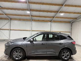 Ford Kuga 2.5PHEV 112kW Automaat Vignale picture 8