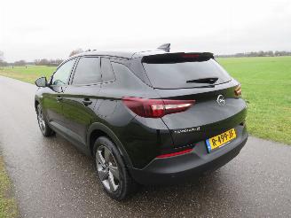 Opel Grandland X 1.6 181 pk Turbo Hybride Automaat Elektrisch/ benzine Elegance Camera  NAVIGATIE picture 26