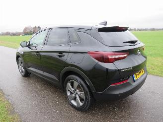 Opel Grandland X 1.6 181 pk Turbo Hybride Automaat Elektrisch/ benzine Elegance Camera  NAVIGATIE picture 2