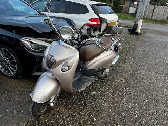 skadebil bromfiets La Souris  grand retro 2018/10