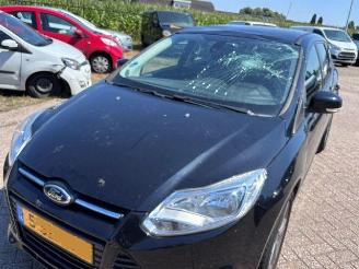 Ford Focus  picture 3