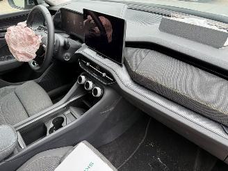 Skoda Kodiaq 1.5 TSI PHEV Business Edition Automaat Pano NAP ! picture 21