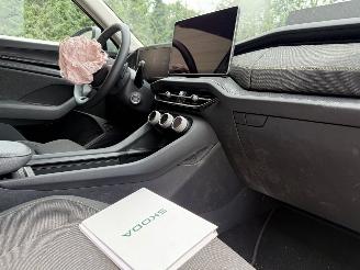 Skoda Kodiaq 1.5 TSI PHEV Business Edition Automaat Pano NAP ! picture 5