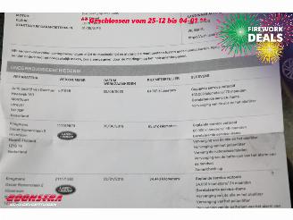 Landrover Discovery Sport 2.0 TD4 HSE VAN Commercial Navi Camera SHZ Leder picture 20