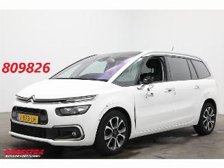 Damaged car Citroën Grand C4 SpaceTourer 1.2 PureTech Bns 7-Pers. Navi Clima Cruise Camera PDC AHK 46.725 km! 2020/9