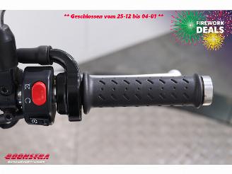 Triumph Bonneville T100 SE BY 2012 picture 19