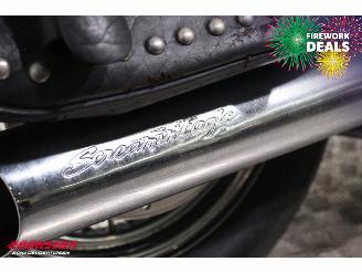 Harley-Davidson  FLSTC Heritage Softail Screaming Eagle picture 9