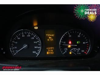 Mercedes Sprinter 313 CDI Aut. Denso SF2 Airco AHK picture 19