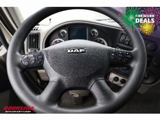 DAF LF 45 Glasresteel 4X2 Euro 5 picture 16