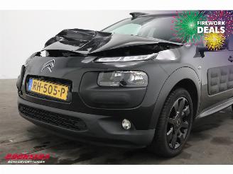 Citroën C4 cactus 1.2 PureTech Navi Clima Cruise PDC 92.137 km! picture 11