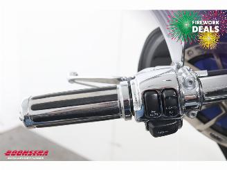 Harley-Davidson  FLHR Road King LED Sissybar picture 13