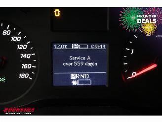 Mercedes Sprinter 315 CDI 9G-Tronic RWD Bluetooth Airco picture 29