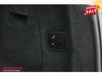 Porsche Cayenne 3.0 S E-Hybrid Sport Design BiXenon Memory Leder SHZ AHK picture 26