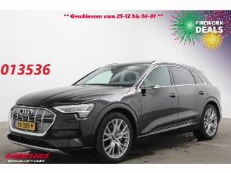 škoda osobní automobily Audi E-tron 55 Quattro MirrorCam 360° Memory SHZ AHK 2019/5