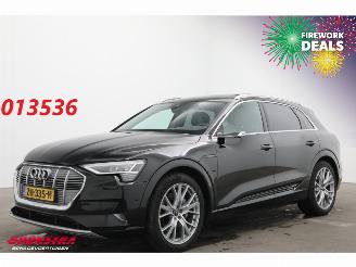 škoda osobní automobily Audi E-tron 55 Quattro MirrorCam 360° Memory SHZ AHK 2019/5