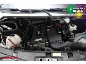 Mercedes Sprinter 316 NGT Aut. CNG Dhollandia LBW picture 10