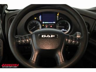 DAF XF 460 FT Standairco 4X2 Euro 6 picture 16