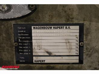 Hapert  Azure H-2 Tandemasser 405x180 2.700 kg picture 12