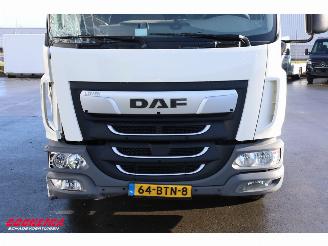 DAF LF 210 FA Aut. LBW Bak-Klep Dhollandia ACC 368.328 km! picture 10