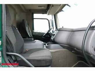 DAF CF 250 FA Aut. Kuhler Carrier Syberia Dhollandia Euro 6 picture 16