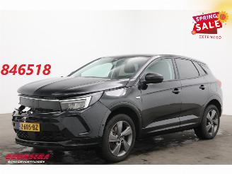 damaged passenger cars Opel Grandland 1.6 Turbo Plug-In Hybrid Elegance LED ACC 360° LRHZ AHK 2023/1