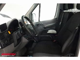 Mercedes Sprinter 516 CDI 7G-Tronic LBW Bak-Klep Airco Cruise Dhollandia picture 17