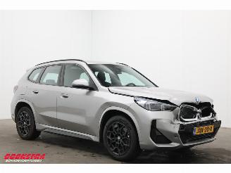 BMW X1 xDrive25e M-Sport LED ACC HUD H/K Camera SHZ 2.117 km! picture 2