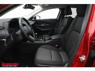 Mazda CX-30 2.0 e-SkyActiv-X M Hybrid Homura Aut. Navi Clima Cruise Camera SHZ picture 20