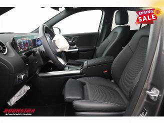 Mercedes GLA 250 e AMG LED ACC Apple/Android Memory Camera SHZ picture 20