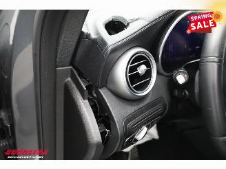 Mercedes GLC AMG 43 4MATIC Pano LED Memory Burmester Camera SHZ picture 15