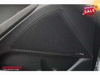 Hyundai Ioniq Comfort EV Infinity ACC Navi Clima Camera picture 22