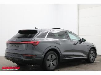 Audi Q8 55 quattro Advanced 115 kWh Pano LED ACC HUD 360° Ventilatie LRHZ picture 3