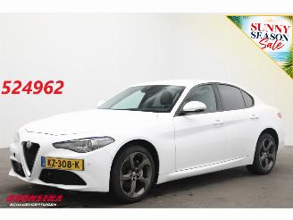 Schadeauto Alfa Romeo Giulia 2.2 Eco Business Super Leder BiXenon Navi Clima Cruise Camera 2017/1