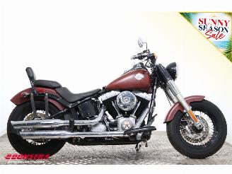 Harley-Davidson  FLS Softail Slim FLS Softail Slim picture 7