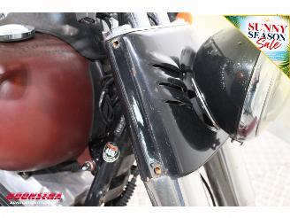 Harley-Davidson  FLS Softail Slim picture 10