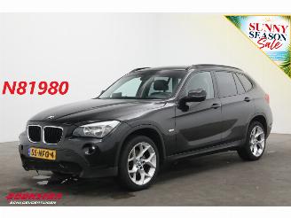 uszkodzony samochody osobowe BMW X1 sDrive18i Aut. Navi Clima Cruise PDC AHK 135.114 km! 2010/8