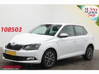 damaged passenger cars Skoda Fabia 1.0 TSI Drive Navi Clima Cruise PDC 80.188 km! 2018/12