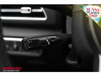   300 LED ACC 360° Leder SHZ LRHZ picture 29
