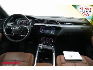 Audi Q8 50 quattro Advanced 95 kWh B&O Pano ACC Leder Memory SHZ Apple/Android Virtual Camera PDC picture 16
