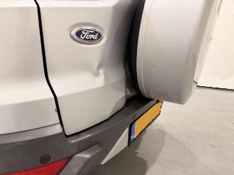 Ford EcoSport 1.0 Ecosport Titanium picture 6