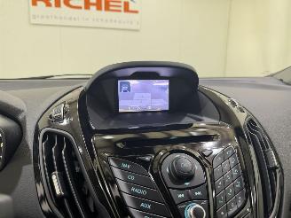 Ford B-Max 1.0 EcoBoost Titanium picture 25