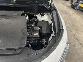 Kia e-Niro Dynamic Plus Line  64,8 kWh  Automaat picture 2