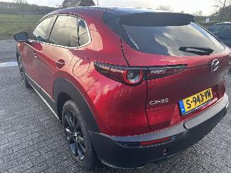 Mazda CX-30 e-Skyactive 2.0 Hybrid Homura picture 8