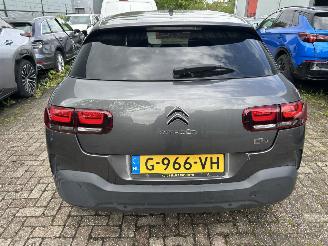 Citroën C4 cactus 1.2 PureTech Origins picture 6